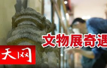 《天网》洛阳来客的秘密任务：一面铜镜牵出藏品流向！20250820