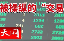 《天网》涉案1.9亿 “内行人”带你入盘做投资 1200多人血本无归！20241126