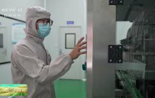 [中国三农报道]田间地头看变化 甘肃陇南 从田间到车间 花椒全产业链发展拓新路 | 农业致富经 Agriculture And Farming