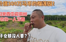 价值300万马币的榴莲园！马来西亚霹雳州老伯一人守着，子女却沒人要？！感谢您一路的支持【Sean的世界TV】频道，欢迎加入我的会员频道，谢谢您一路的陪伴！