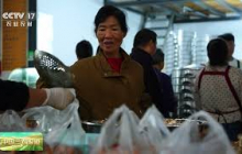 [中国三农报道]云南保山 鸡枞菌少量上市 一斤能卖一百多元 | 农业致富经 Agriculture And Farming