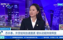 《央视财经评论》 20260908 进出口双双大涨 中国外贸韧性持续释放 |  财经风云