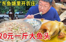 广东江门绝世高手鱼塘里开农庄，20元一斤大鱼头，一鱼两吃肉质鲜嫩太绝了#麦总去哪吃