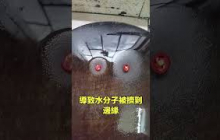 辣椒素拒水效應|自說自話的總裁