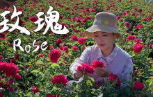 In Yunnan, roses are not just a symbol of romance — they are a real, delicious part of everyday life