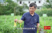《三农群英汇》 20250703 带头人——陈教授和他的科技小院 | 农业致富经 Agriculture And Farming