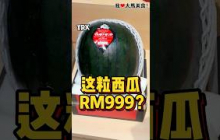 这一粒 #西瓜 要RM999，真的假的🍉？