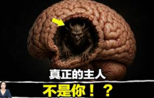 打破你的認知！佛教根本不是宗教，而是超前人類2500年的超級科學！ | 馬臉姐