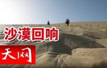 《天网》沙漠“掘金”者！鸣沙山民警年捞上百部手机 风沙秒吞 他们却能从茫茫沙海找回你的“宝贝”！ 20250801