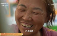 《三农群英汇》 20250730 回归麦田的“麦子阿姨” | 农业致富经 Agriculture And Farming