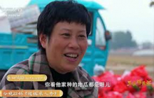 《三农群英汇》 20251024 我的田间创富路——小秋收里的大市场 | 农业致富经 Agriculture And Farming