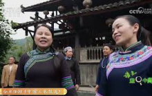 《谁知盘中餐》 20250409 山水知味 自带香味的山林美味 | 农业致富经 Agriculture And Farming