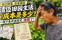 自己种菜、在家做饭｜清迈田园生活的成本是多少？一周下来开销算完，傻眼了！