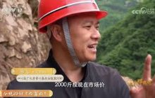 《三农群英汇》 20250706 带头人——千牛口粮保卫战 | 农业致富经 Agriculture And Farming