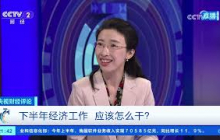 《央视财经评论》 20250801 下半年经济工作 应该怎么干？ |  财经风云
