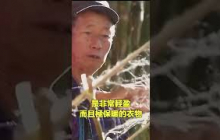 哀牢祕技——鬼臉蛛網衣|自說自話的總裁