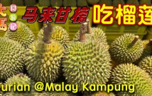 去马来甘榜找香甜美味的红虾 vs 貓山王榴莲 ～ 食游记 📍 Durian Trip to Baiduri Lubuk Durian at Kampung Paya Jaras Shah Alam