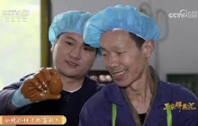 《三农群英汇》 20250429 田野追光者——麻鸭飞出缙云山 | 农业致富经 Agriculture And Farming