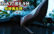 2025最新犯罪悬疑猛片《马尔甘》，3万人打出8.9分，反转再反转！