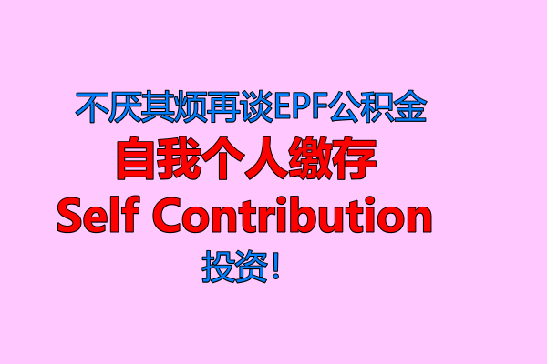 不厌其烦再谈EPF公积金《自我个人缴存》 Self Contribution 投资！